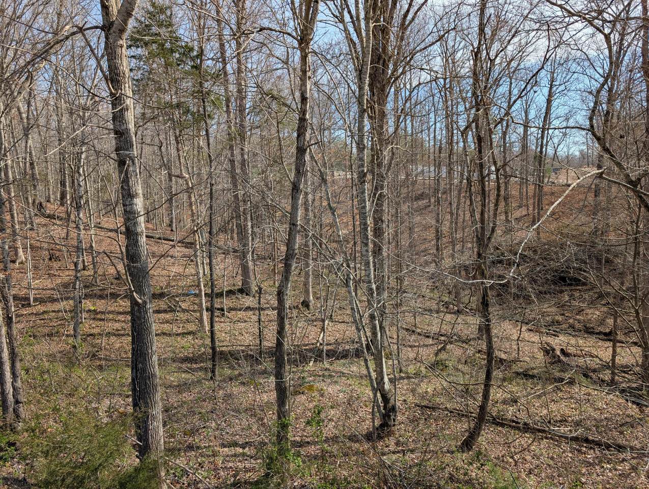 https://bt-photos.global.ssl.fastly.net/lexington/1280_boomver_1_20260323132551328894000000-2.jpg