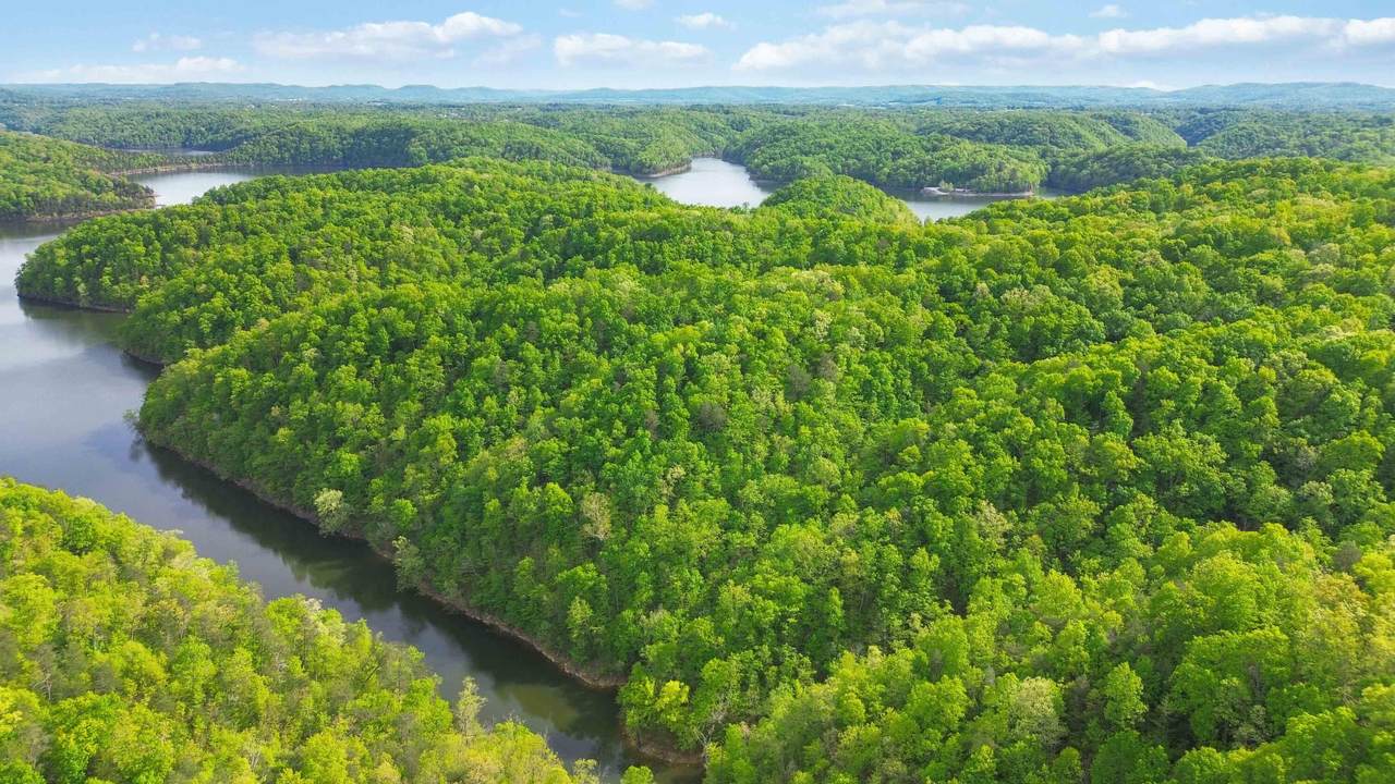 Lot 90 Sandstone Point Trail - Photo 1