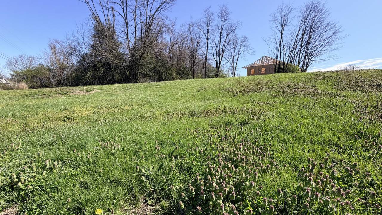https://bt-photos.global.ssl.fastly.net/lexington/1280_boomver_2_20260323183559751813000000-2.jpg