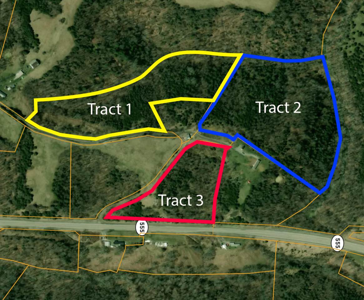Tract 3 Scott Lane - Photo 1