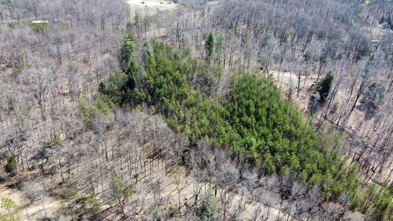 Lot #15 Hopewell Hawks Point Road - Photo 1