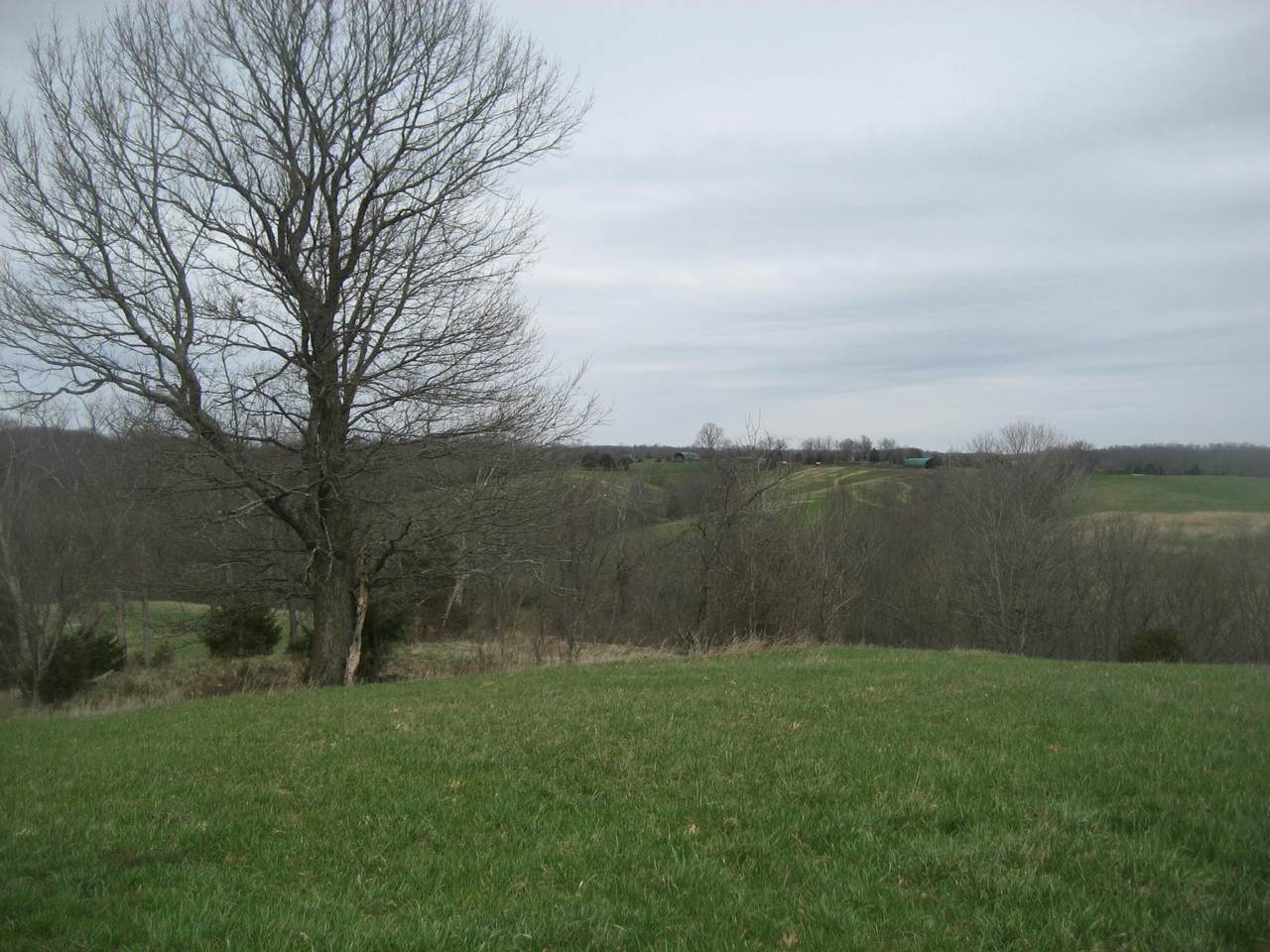 0000 North Rays Fork Road - Photo 1