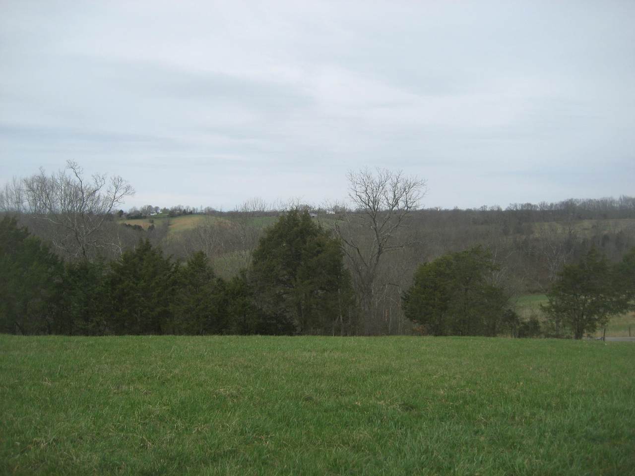 https://bt-photos.global.ssl.fastly.net/lexington/1280_boomver_1_20260324223459462552000000-2.jpg