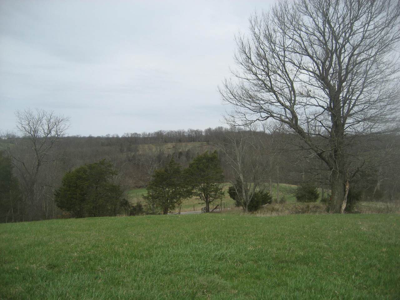 https://bt-photos.global.ssl.fastly.net/lexington/1280_boomver_1_20260324223459462552000000-2.jpg