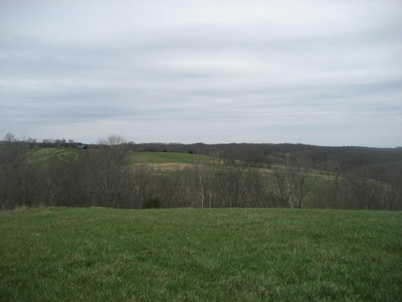 https://bt-photos.global.ssl.fastly.net/lexington/1280_boomver_1_20260324223459462552000000-2.jpg