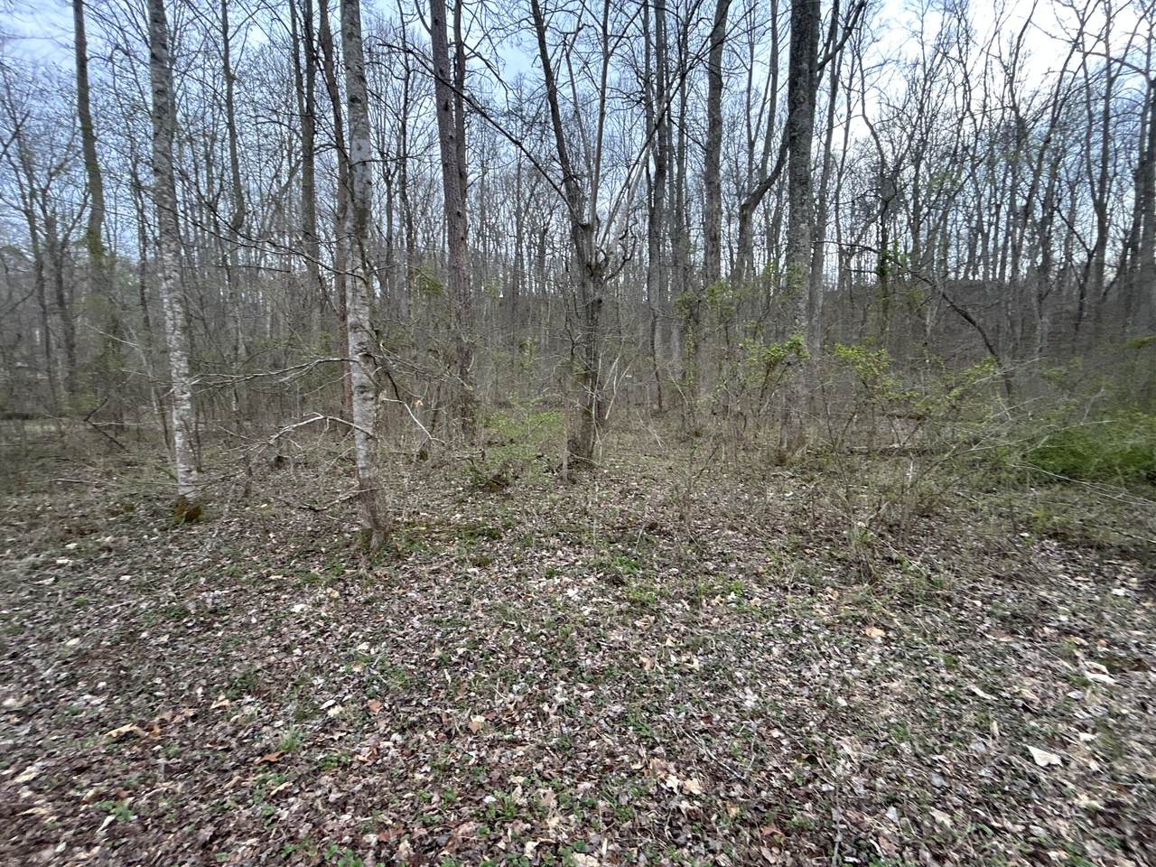 70 Millstone Road - Photo 1