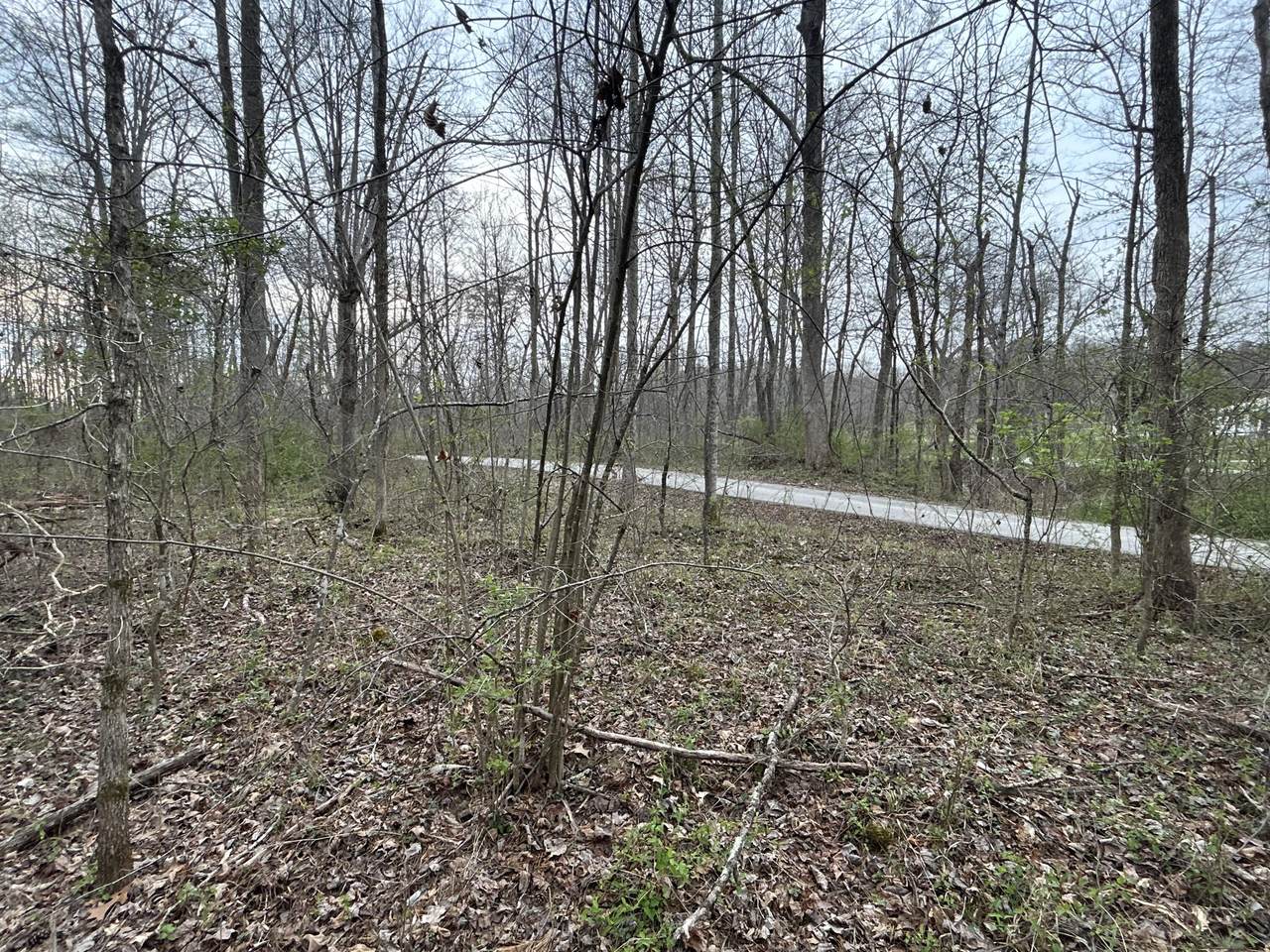 https://bt-photos.global.ssl.fastly.net/lexington/1280_boomver_1_20260325223749579234000000-2.jpg