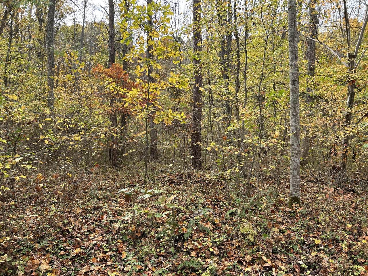 https://bt-photos.global.ssl.fastly.net/lexington/1280_boomver_1_20260325223749579234000000-2.jpg