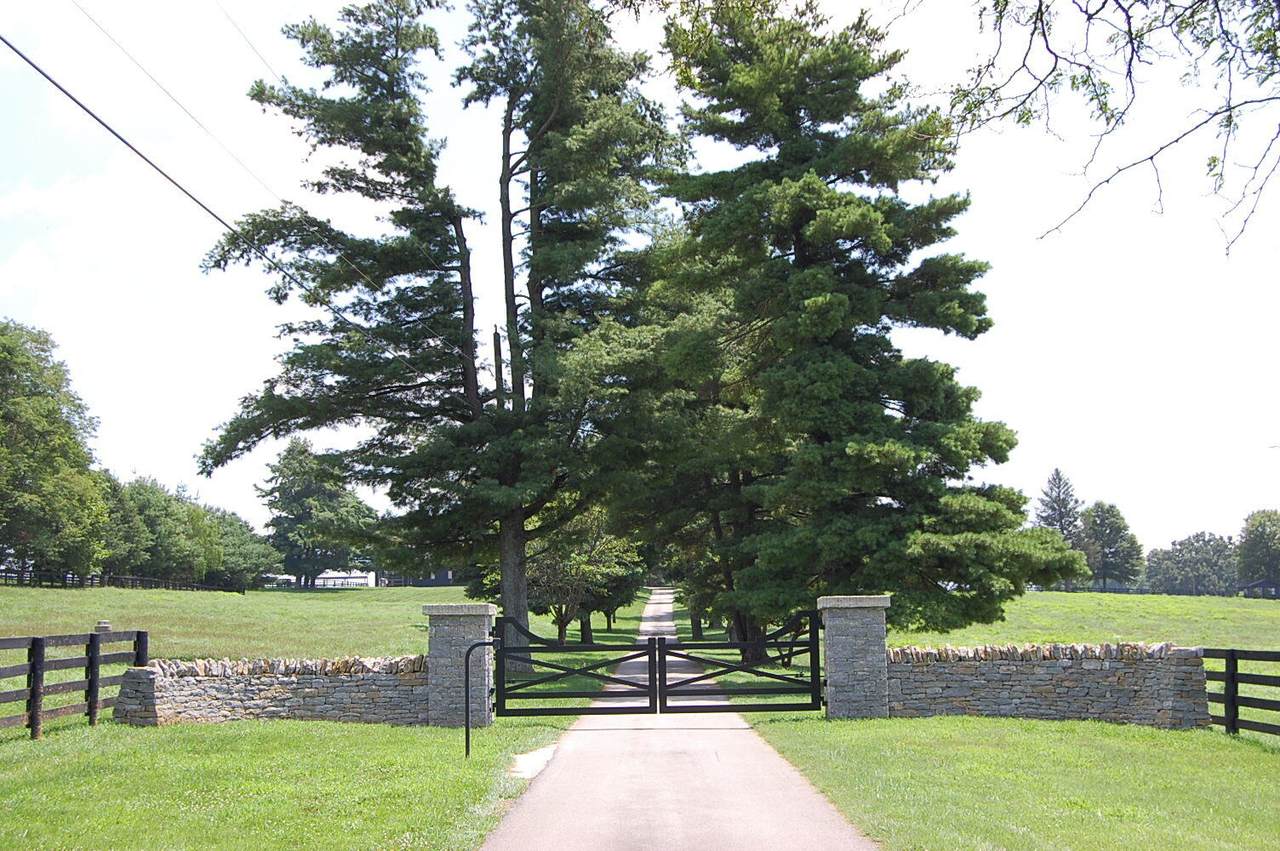 https://bt-photos.global.ssl.fastly.net/lexington/1280_boomver_1_20260401185632330660000000-2.jpg