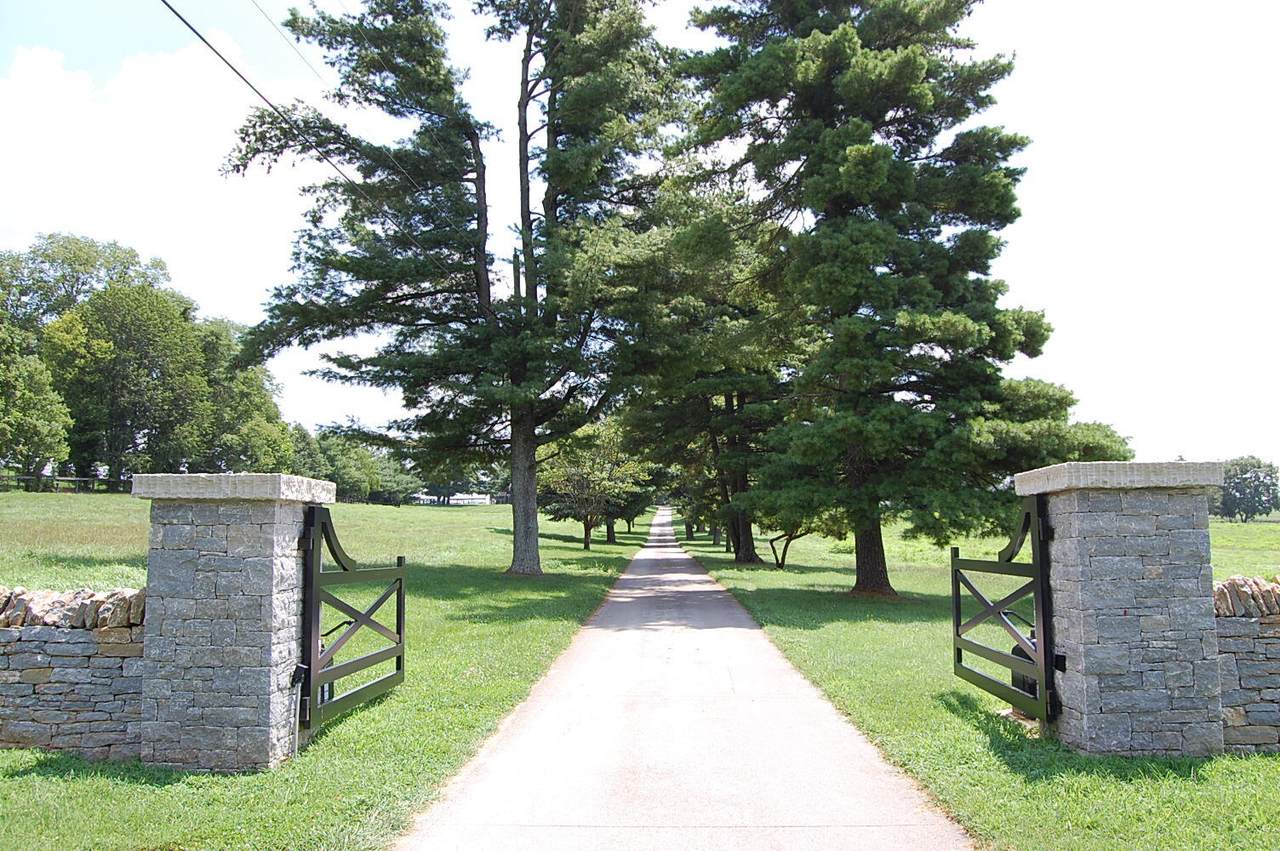 https://bt-photos.global.ssl.fastly.net/lexington/1280_boomver_1_20260401185632330660000000-2.jpg