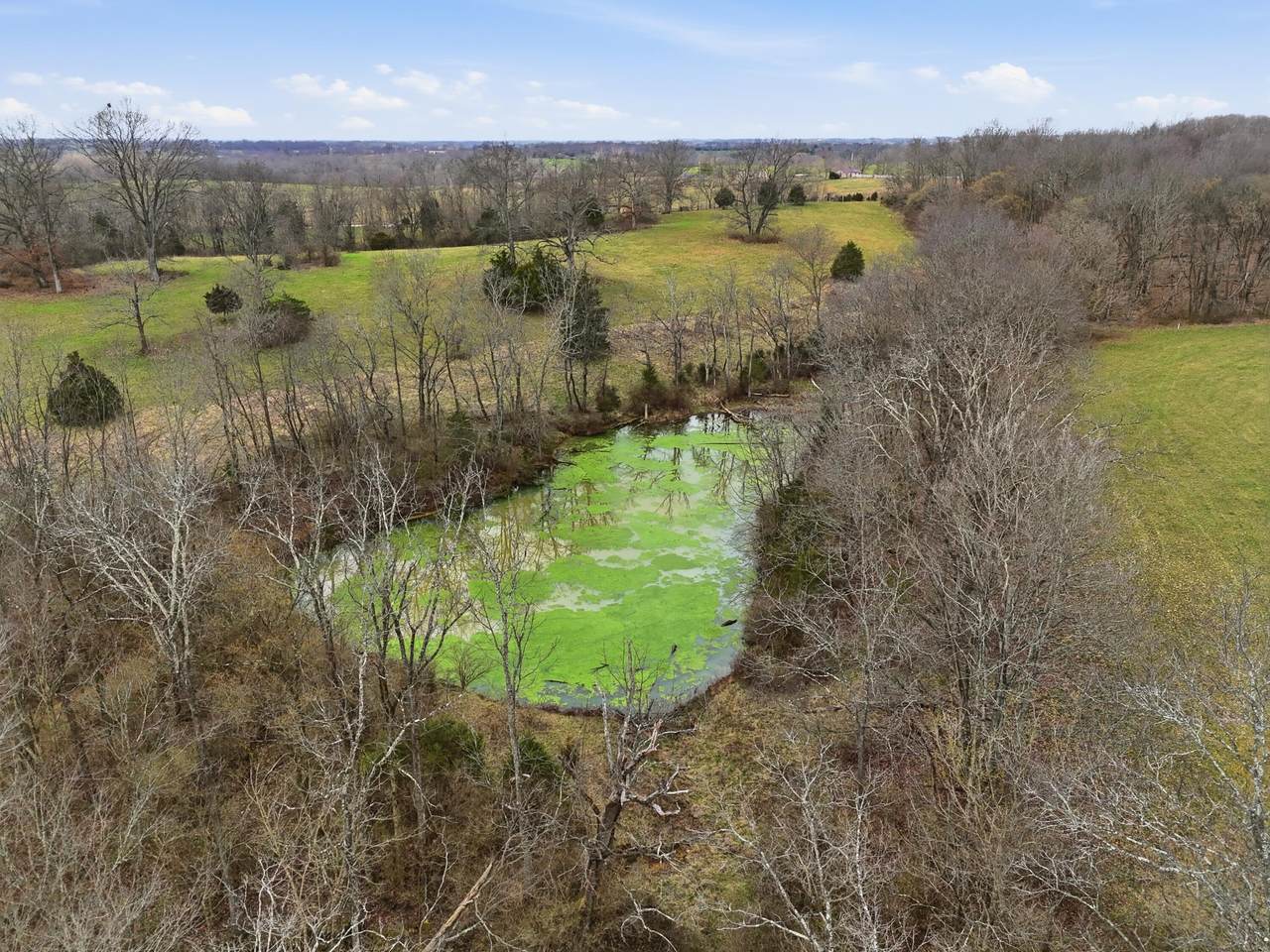 https://bt-photos.global.ssl.fastly.net/lexington/1280_boomver_1_20260402114339994925000000-2.jpg
