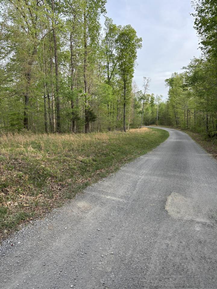 Lot 23 Campbell Road - Photo 1