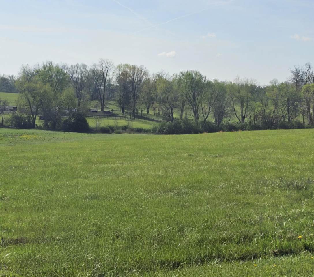 4000 Talon Way - Photo 1