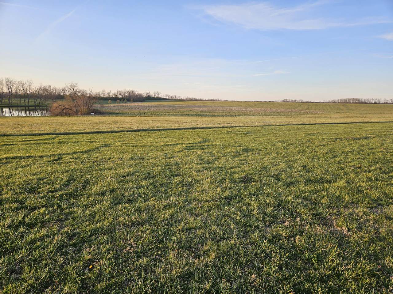 4017 Talon Way - Photo 1