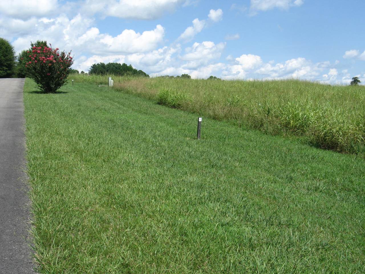 https://bt-photos.global.ssl.fastly.net/lexington/1280_boomver_1_20260403212025454503000000-2.jpg