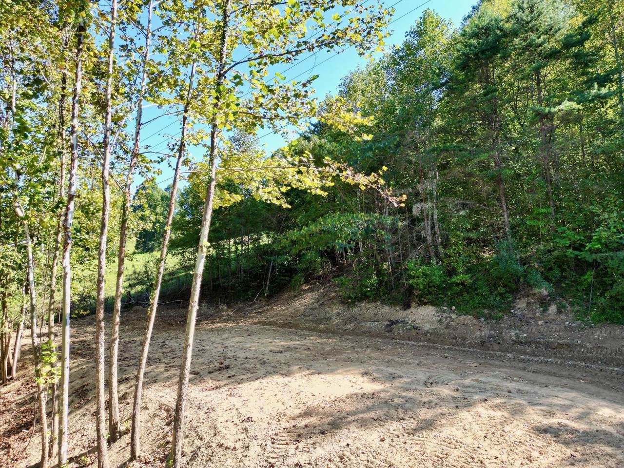 0 Hwy 52 East - Photo 1