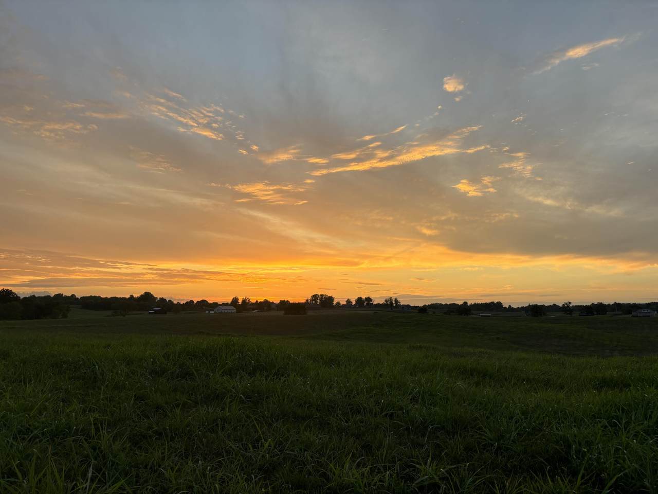https://bt-photos.global.ssl.fastly.net/lexington/1280_boomver_1_20260404224927774644000000-2.jpg