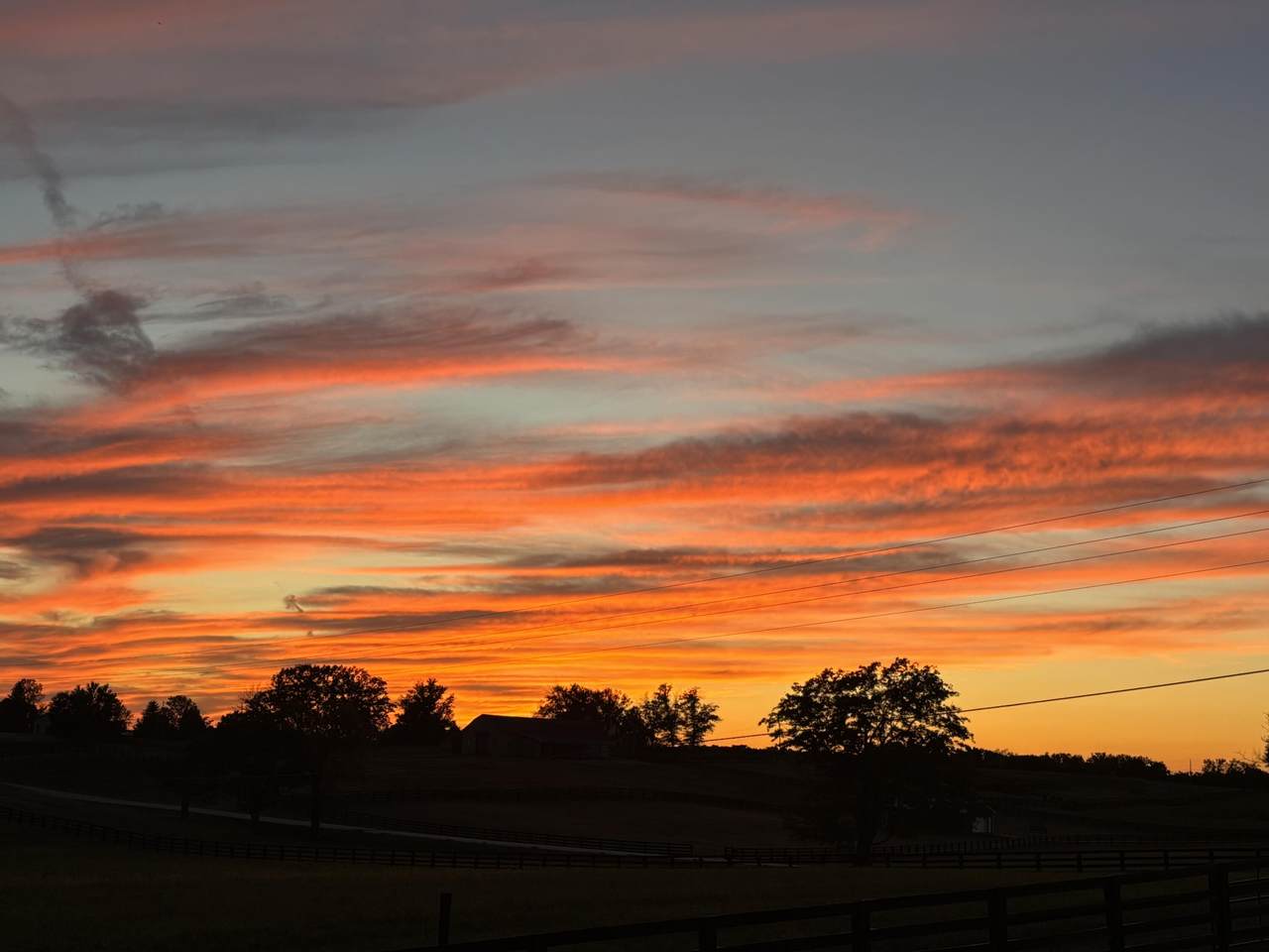 https://bt-photos.global.ssl.fastly.net/lexington/1280_boomver_1_20260404224927774644000000-2.jpg