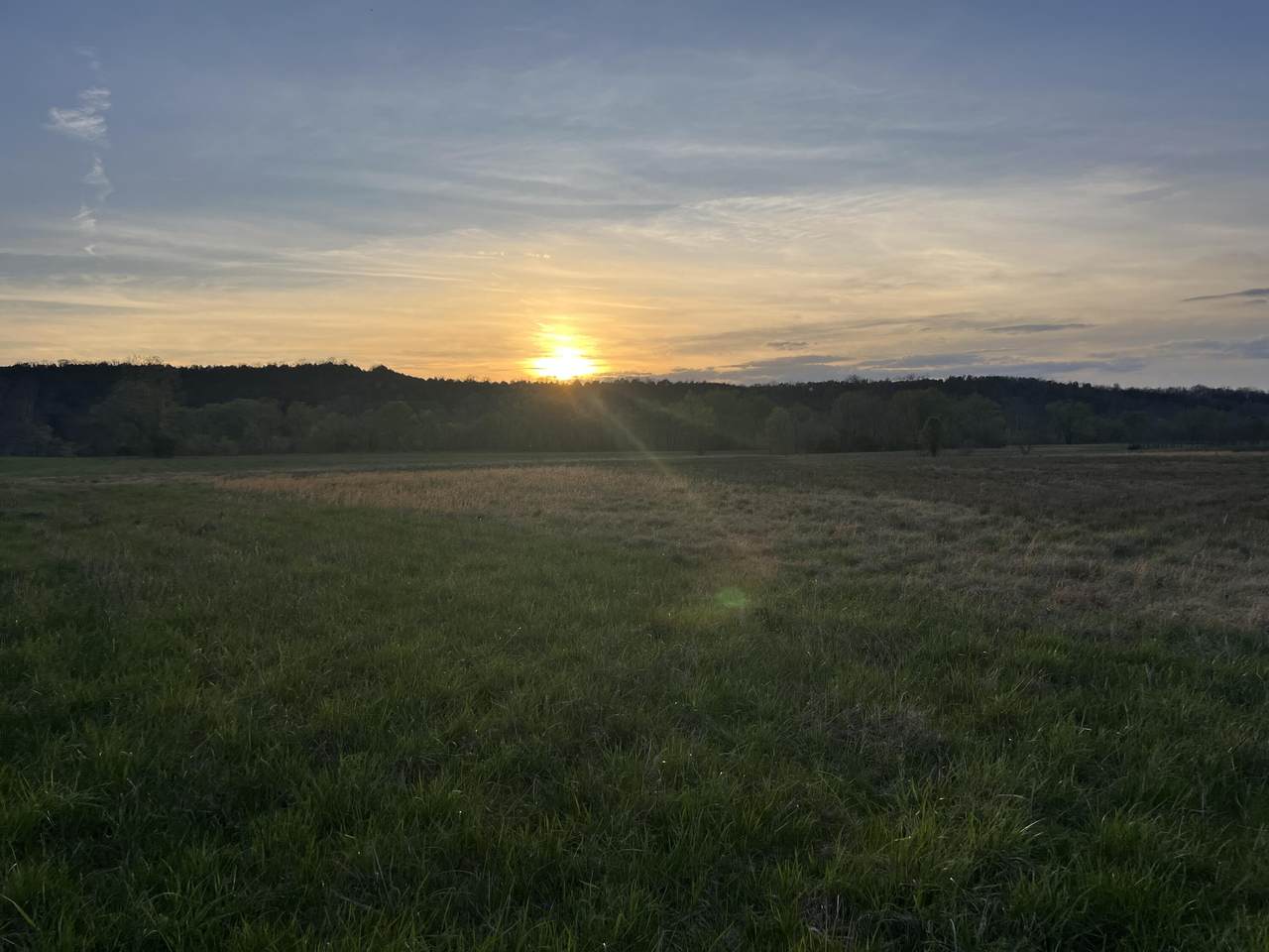 3961 Jackson Ferry Road - Photo 1