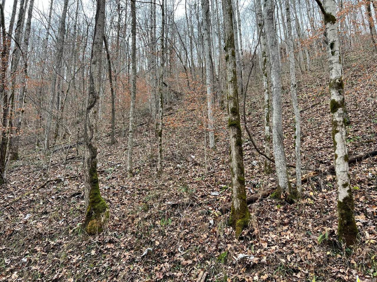 https://bt-photos.global.ssl.fastly.net/lexington/1280_boomver_1_20260407203223387215000000-2.jpg