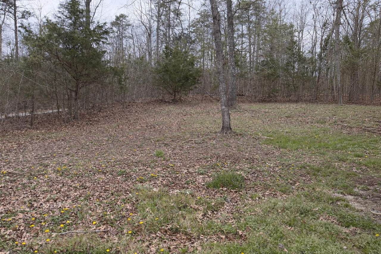 228 Griffin Hill Road - Photo 1