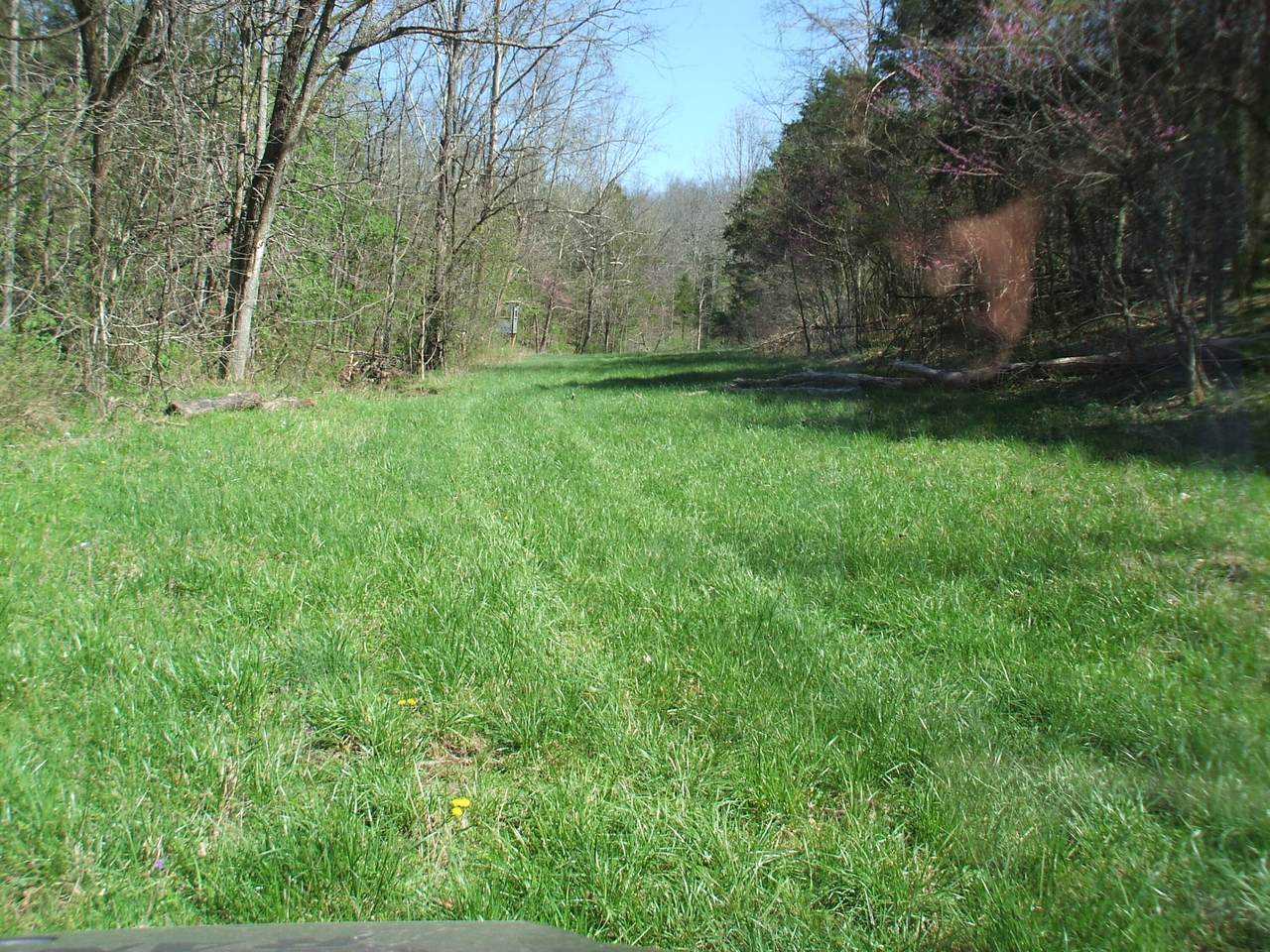 https://bt-photos.global.ssl.fastly.net/lexington/1280_boomver_1_20260409000255972563000000-2.jpg