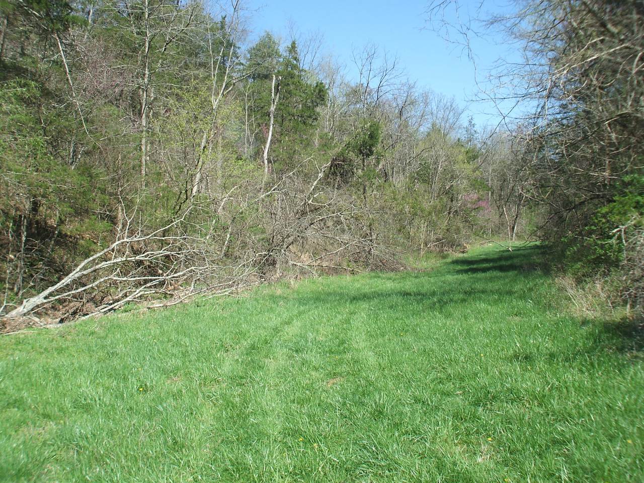 https://bt-photos.global.ssl.fastly.net/lexington/1280_boomver_1_20260409000255972563000000-2.jpg