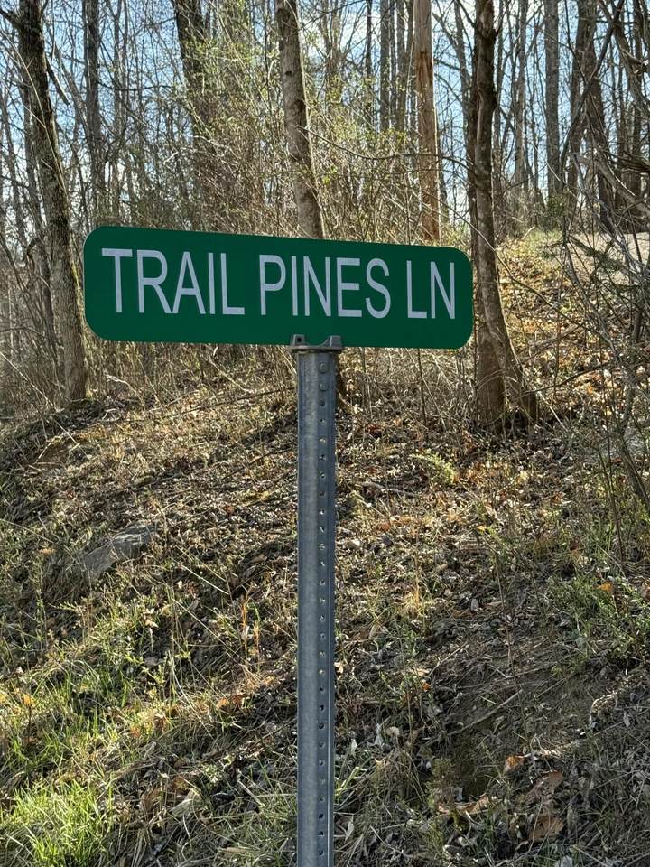 0 Tbd Trail Pines/Edge Lane - Photo 1
