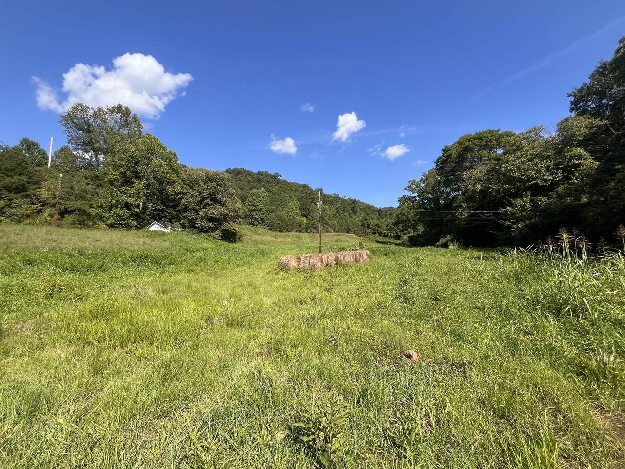 198 Crawford Isom Road - Photo 1