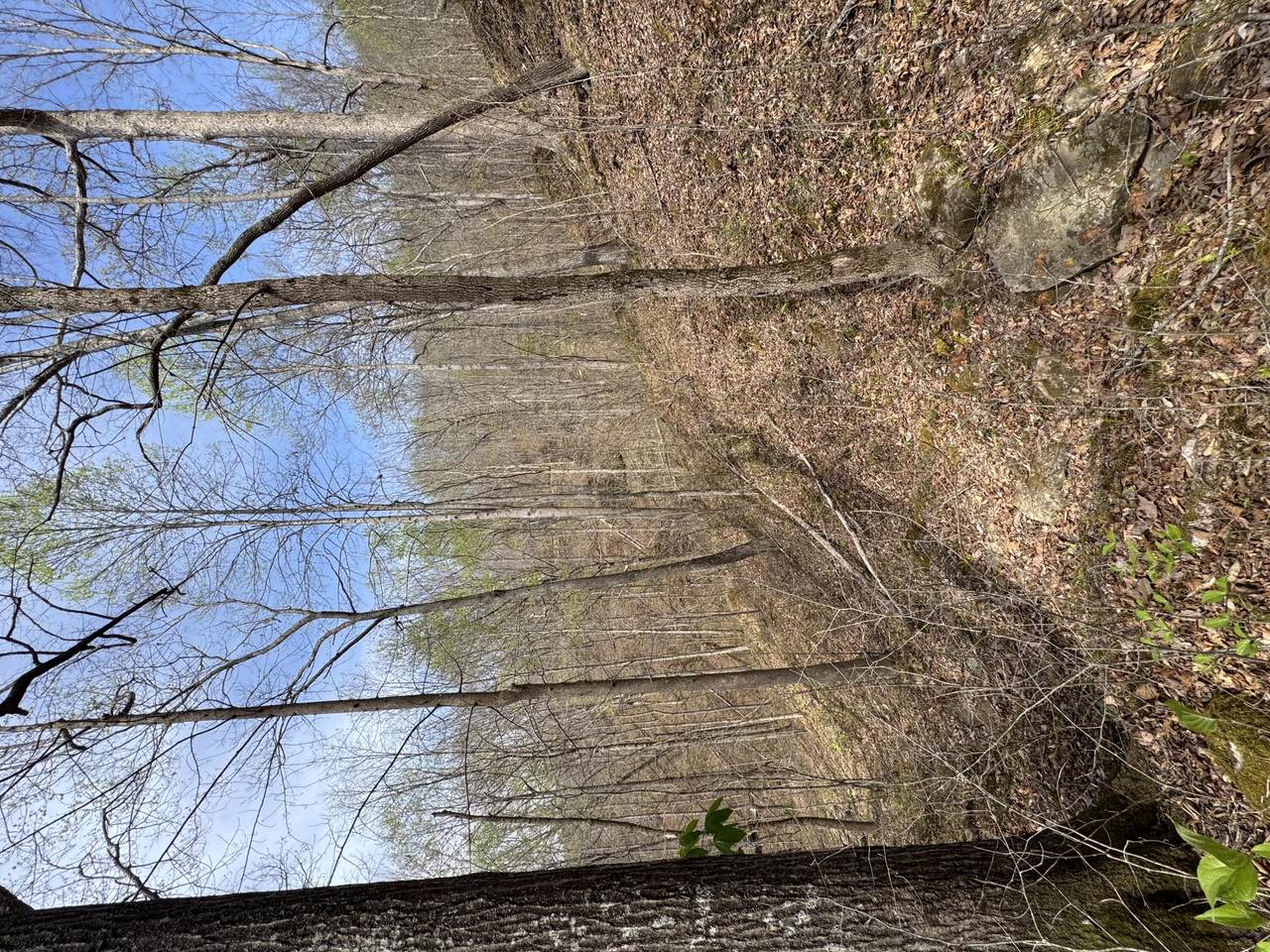 https://bt-photos.global.ssl.fastly.net/lexington/1280_boomver_1_20260413143323952295000000-2.jpg