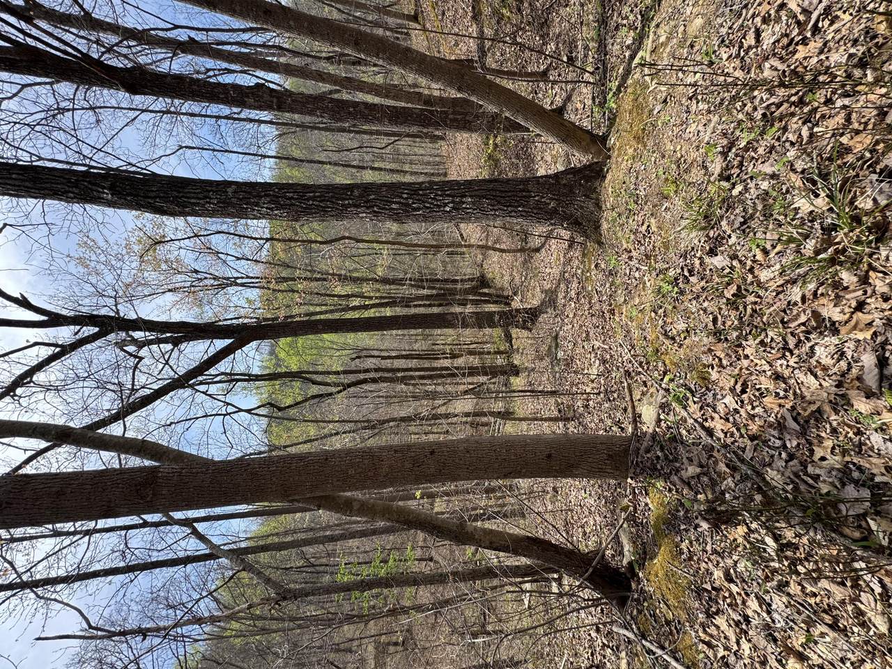 https://bt-photos.global.ssl.fastly.net/lexington/1280_boomver_1_20260413143323952295000000-2.jpg