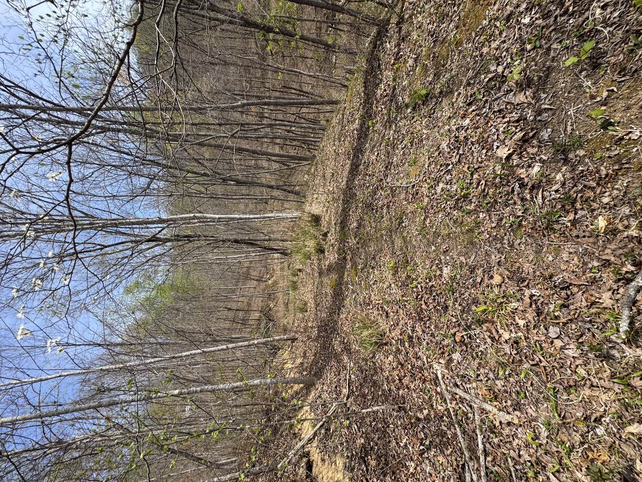 https://bt-photos.global.ssl.fastly.net/lexington/1280_boomver_1_20260413143323952295000000-2.jpg