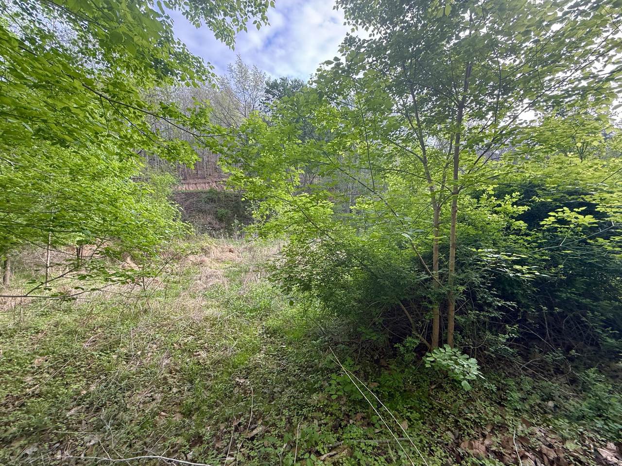 https://bt-photos.global.ssl.fastly.net/lexington/1280_boomver_1_20260416002256374608000000-2.jpg