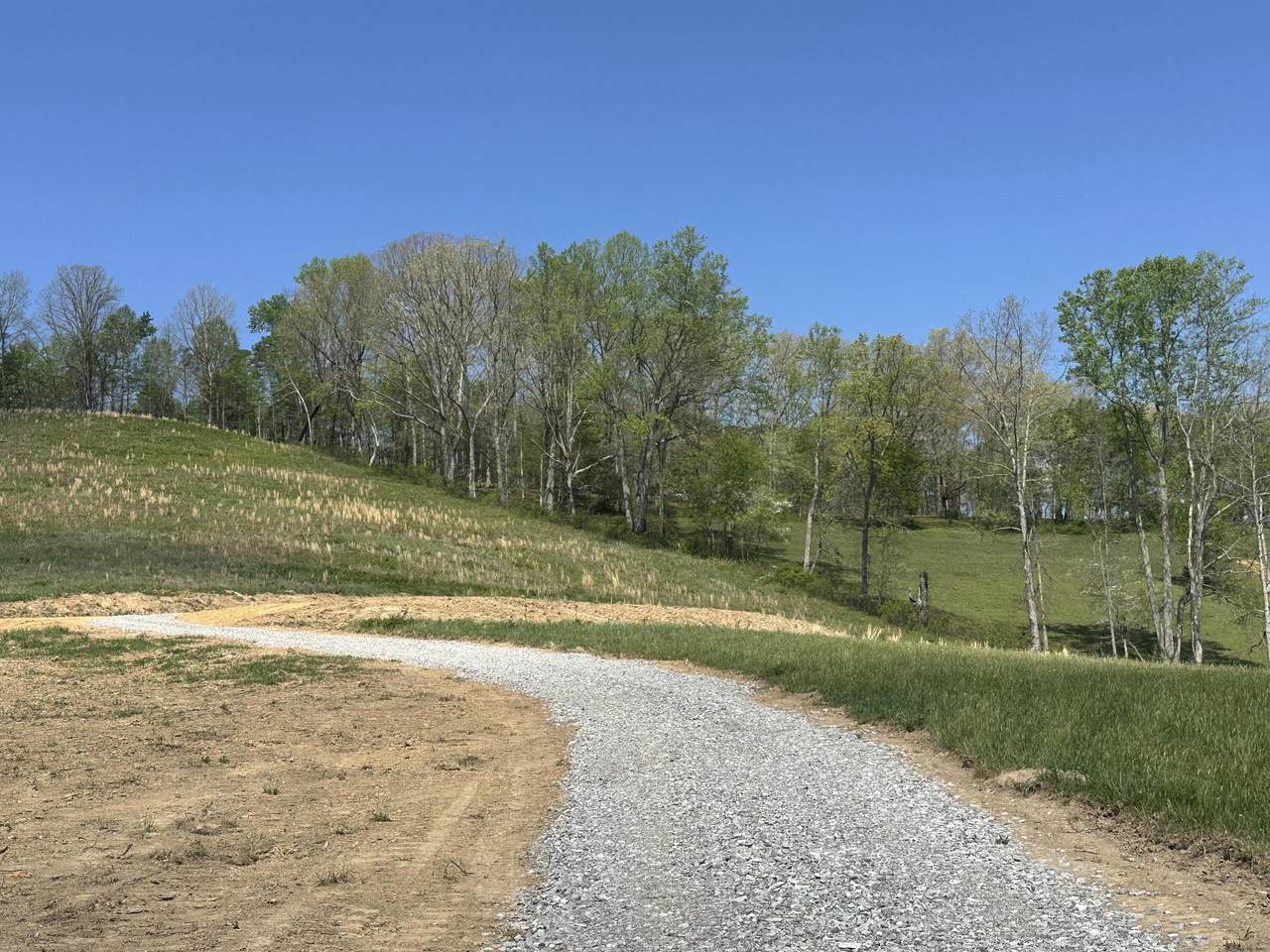 https://bt-photos.global.ssl.fastly.net/lexington/1280_boomver_1_20260416233335415908000000-2.jpg