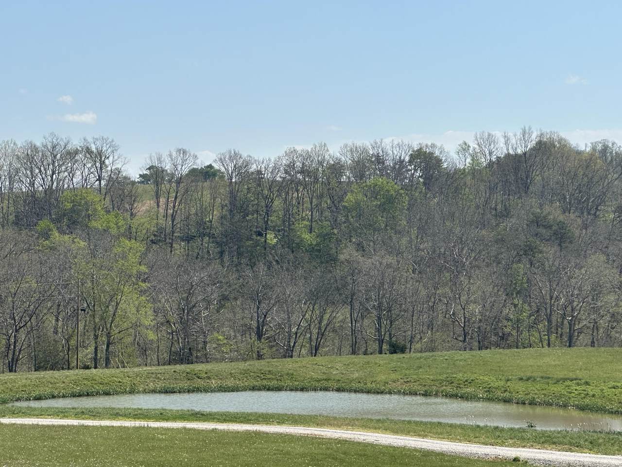 19 Coon Trail - Photo 1