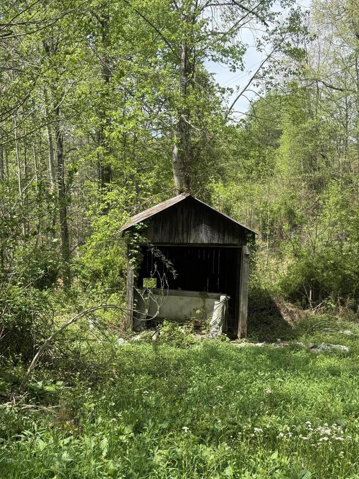 1325 State Hwy 1036 - Photo 1