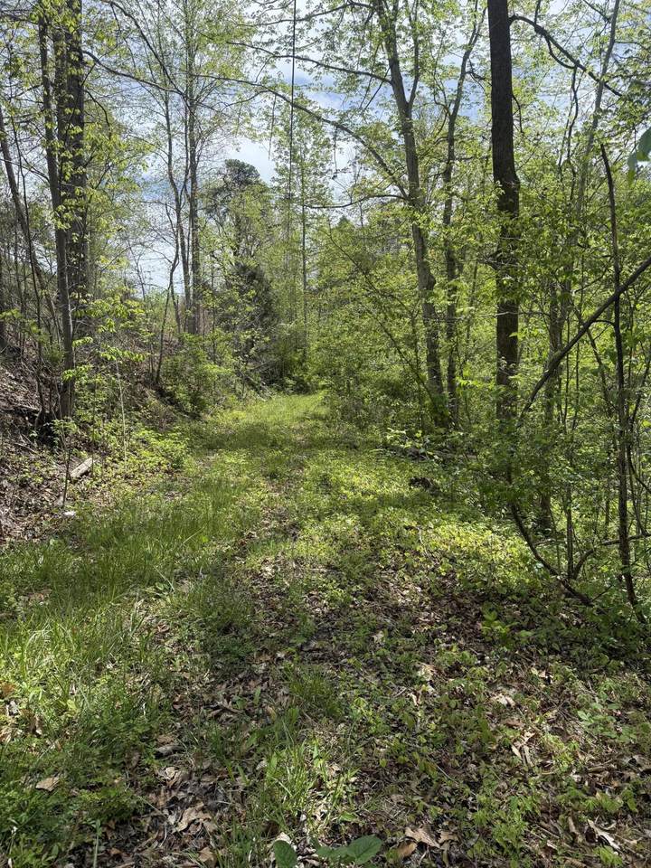 https://bt-photos.global.ssl.fastly.net/lexington/1280_boomver_1_20260417201325279308000000-2.jpg