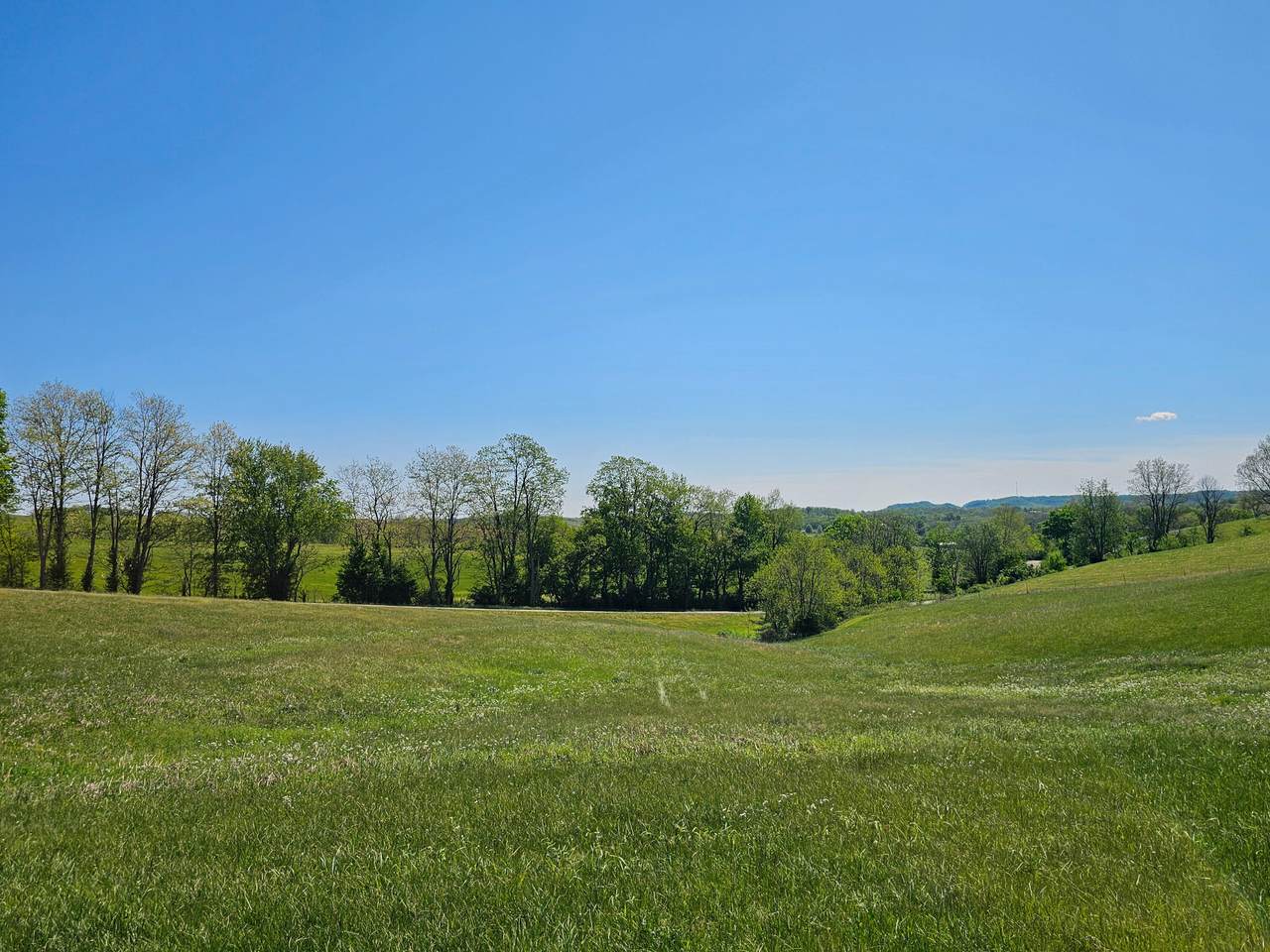 https://bt-photos.global.ssl.fastly.net/lexington/1280_boomver_1_20260417233305330820000000-2.jpg