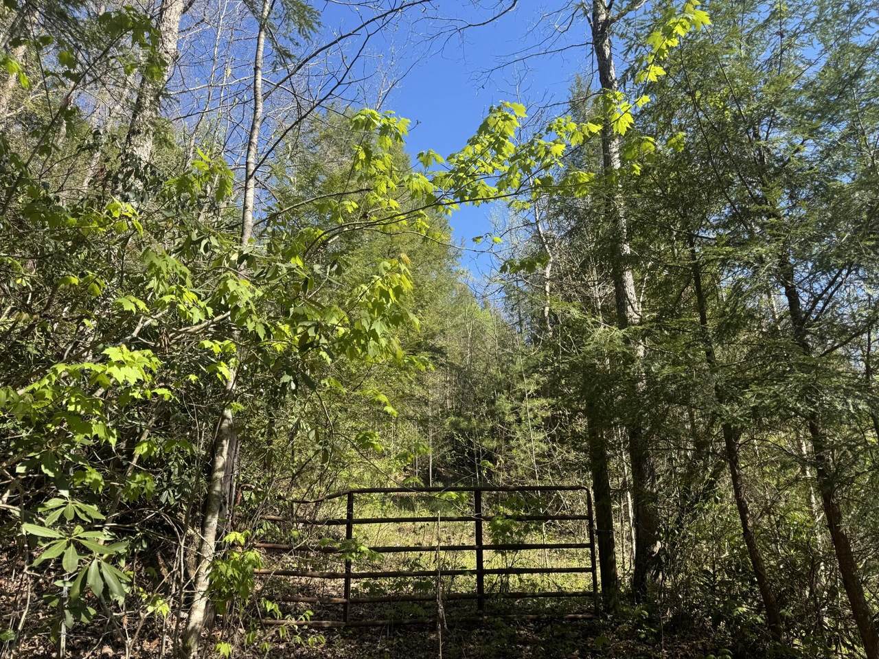 https://bt-photos.global.ssl.fastly.net/lexington/1280_boomver_1_20260420191030509709000000-2.jpg