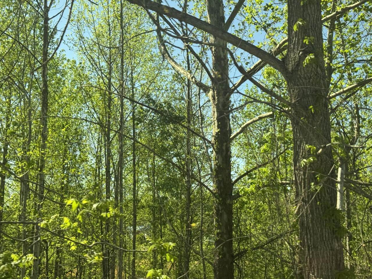 https://bt-photos.global.ssl.fastly.net/lexington/1280_boomver_1_20260420191030509709000000-2.jpg