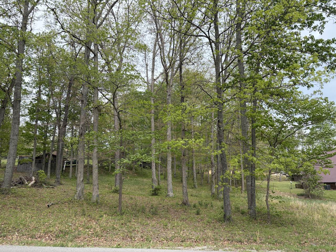 Lots 16 & 17 Waterworks Rd - Photo 1