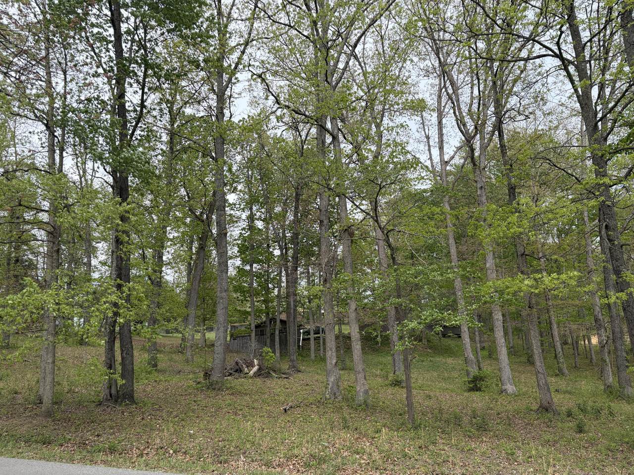 https://bt-photos.global.ssl.fastly.net/lexington/1280_boomver_1_20260421173346360187000000-2.jpg
