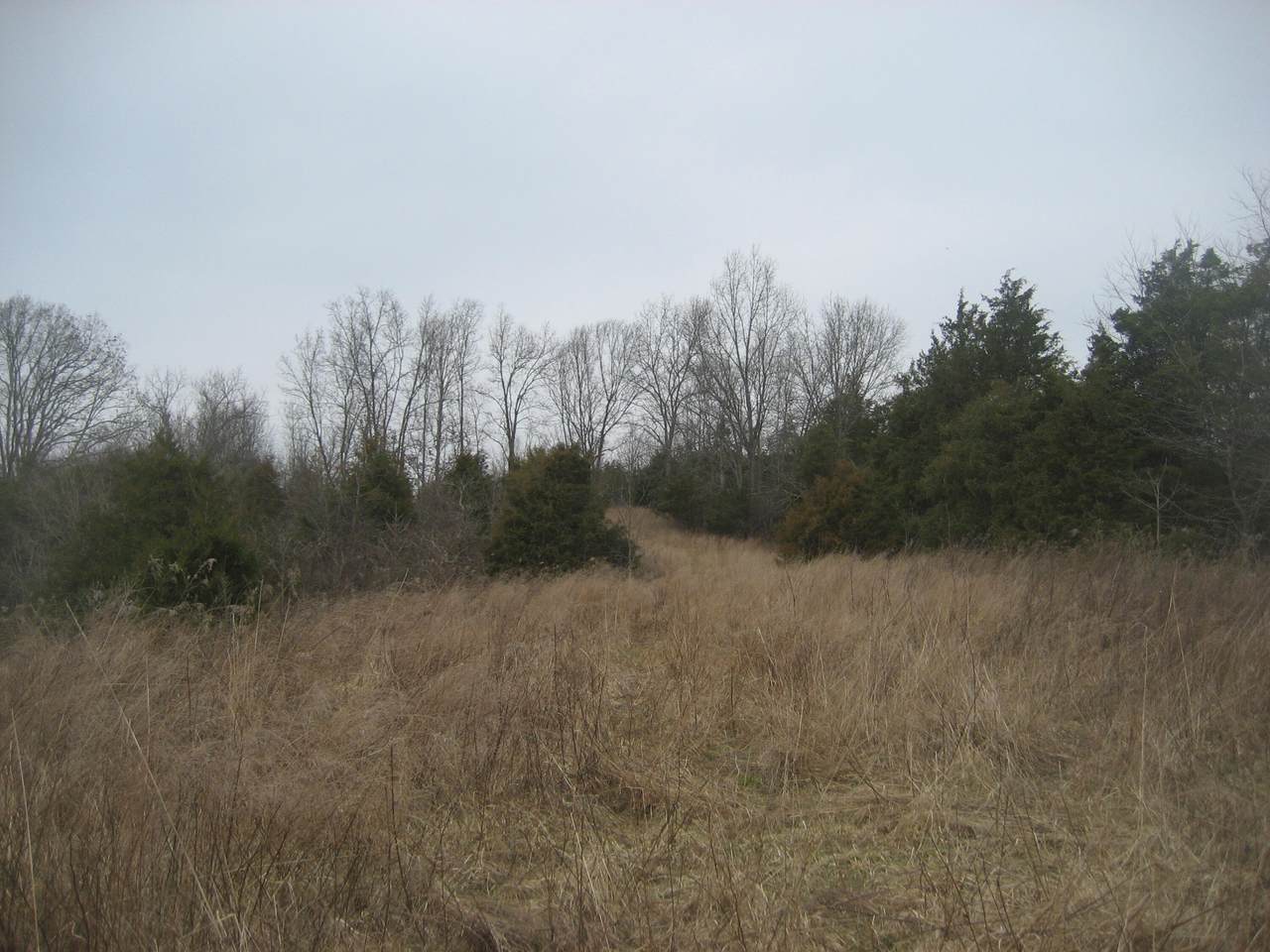 https://bt-photos.global.ssl.fastly.net/lexington/1280_boomver_1_20260422153026216572000000-2.jpg