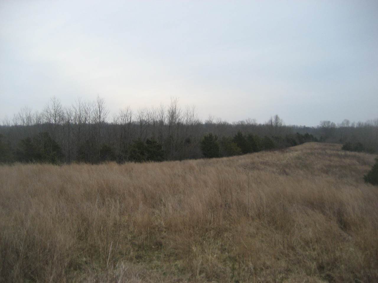 https://bt-photos.global.ssl.fastly.net/lexington/1280_boomver_1_20260422153026216572000000-2.jpg