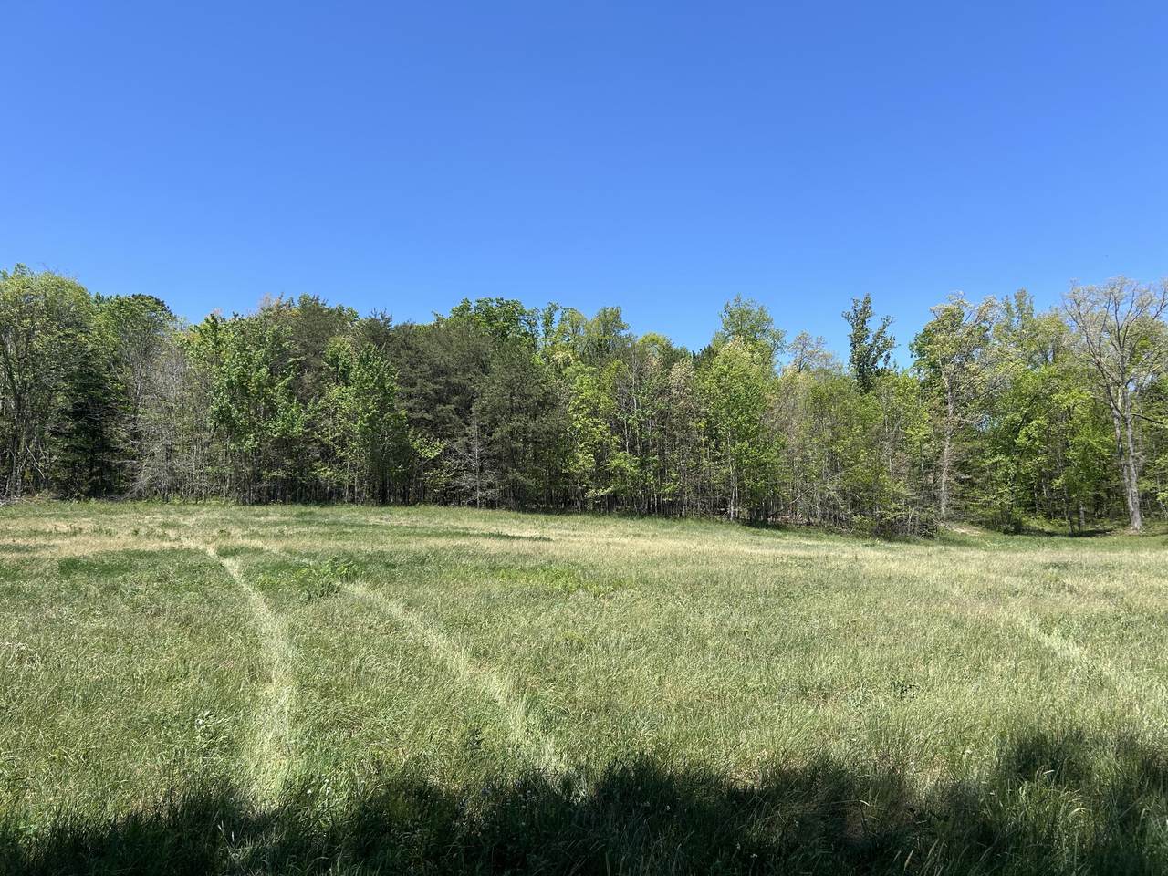 https://bt-photos.global.ssl.fastly.net/lexington/1280_boomver_1_20260422183154297888000000-2.jpg