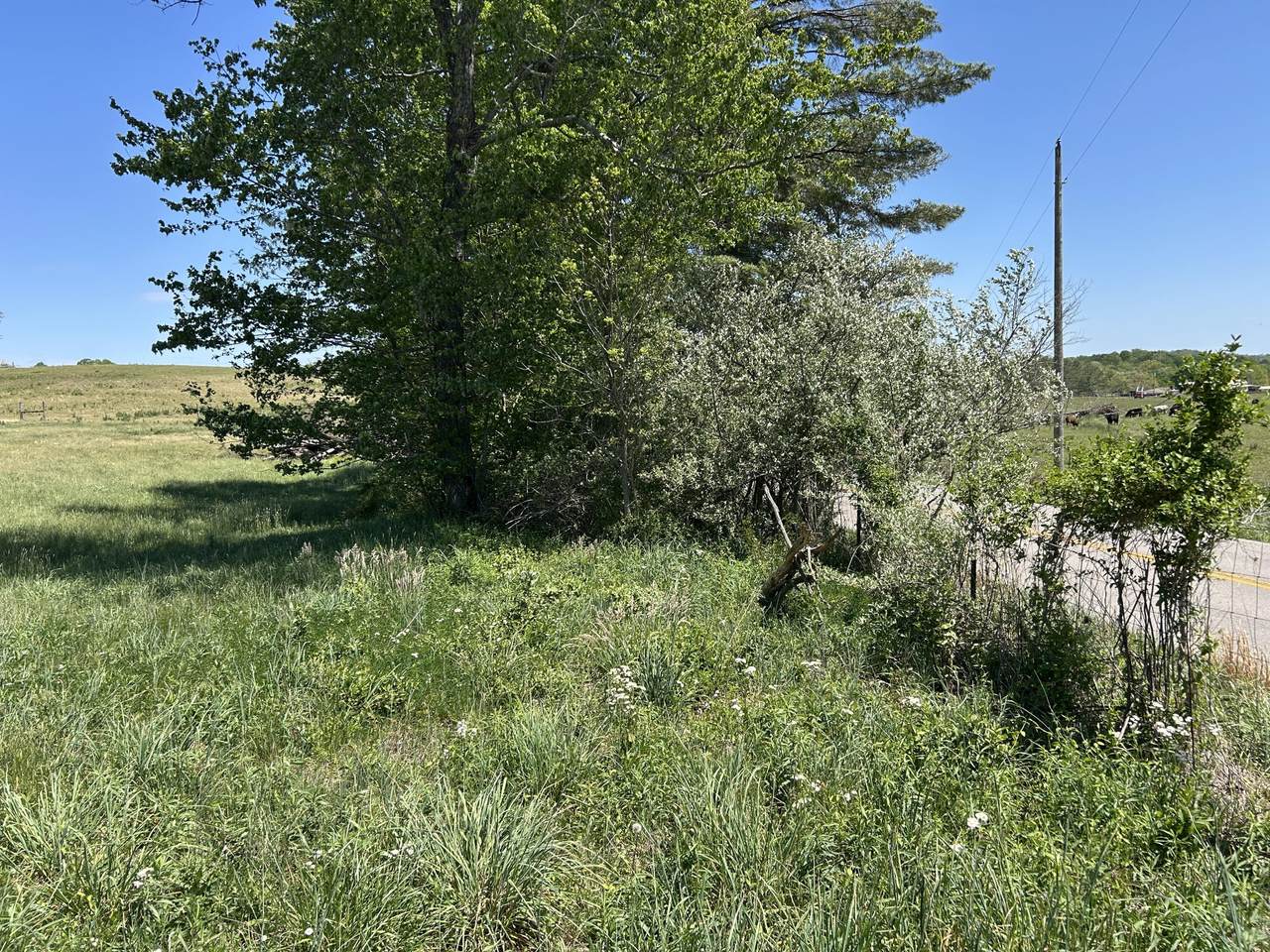 https://bt-photos.global.ssl.fastly.net/lexington/1280_boomver_1_20260422183154297888000000-2.jpg