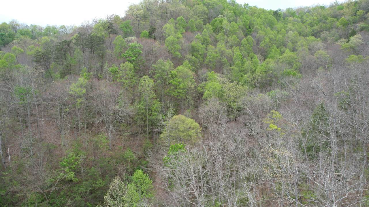 https://bt-photos.global.ssl.fastly.net/lexington/1280_boomver_1_20260423131210571785000000-2.jpg