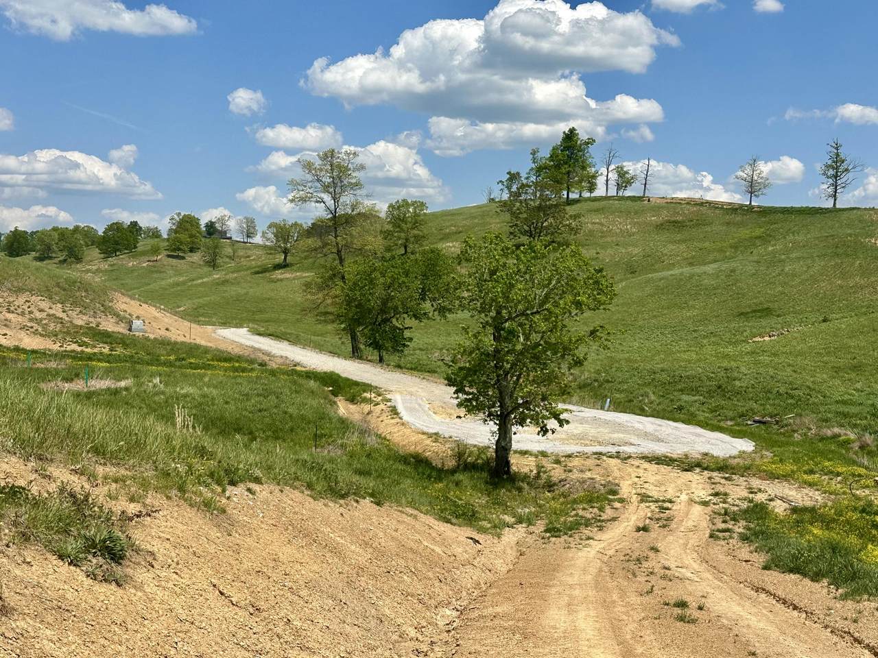 https://bt-photos.global.ssl.fastly.net/lexington/1280_boomver_1_20260424184235113424000000-2.jpg