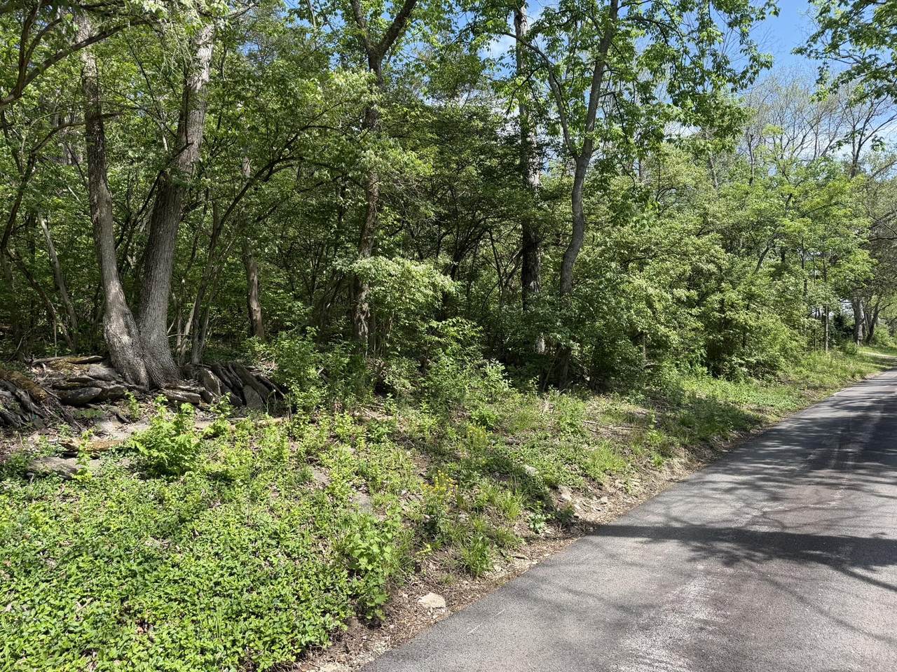 Lot #1 Marble Creek Lane - Photo 1