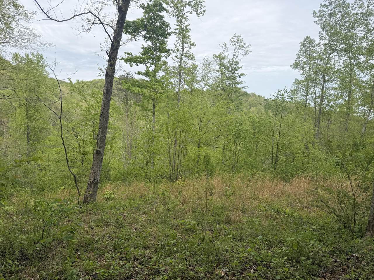 999 Big Cave Road - Photo 1